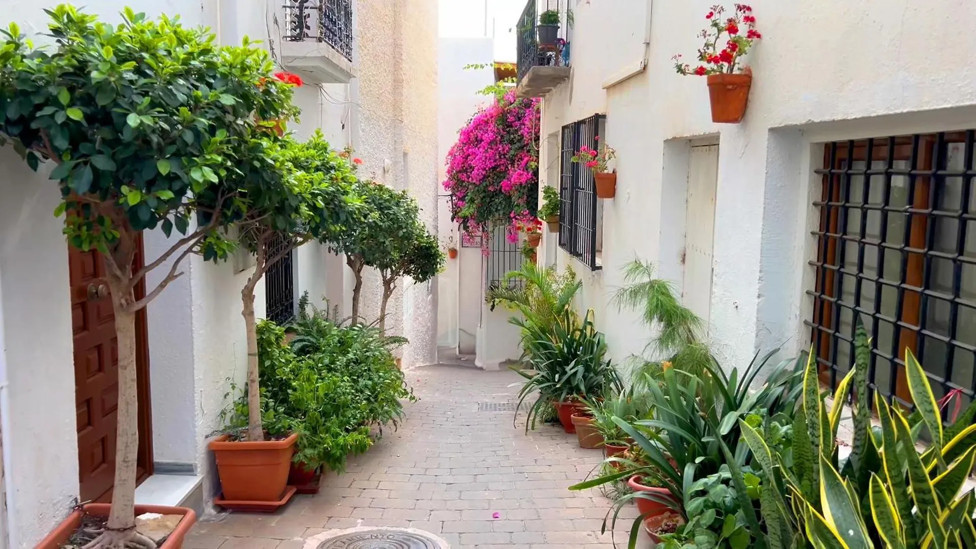 Dreaming With Art Apartment Mojacar